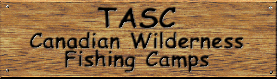 TASC for Teens
